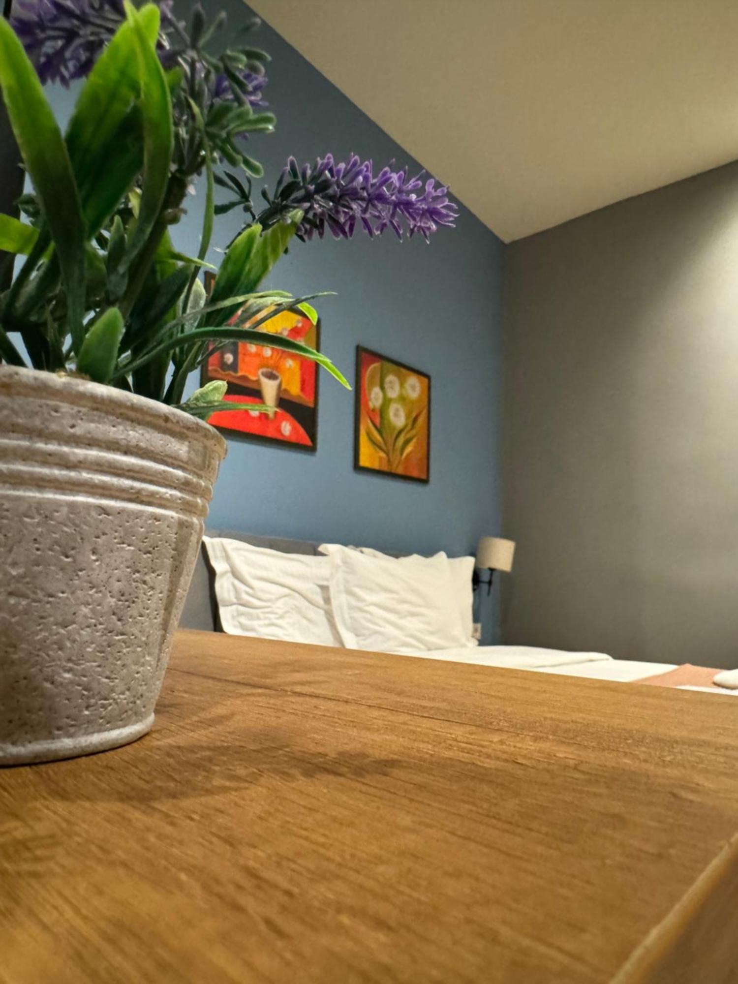 Hotel Tirona Tirana Bagian luar foto